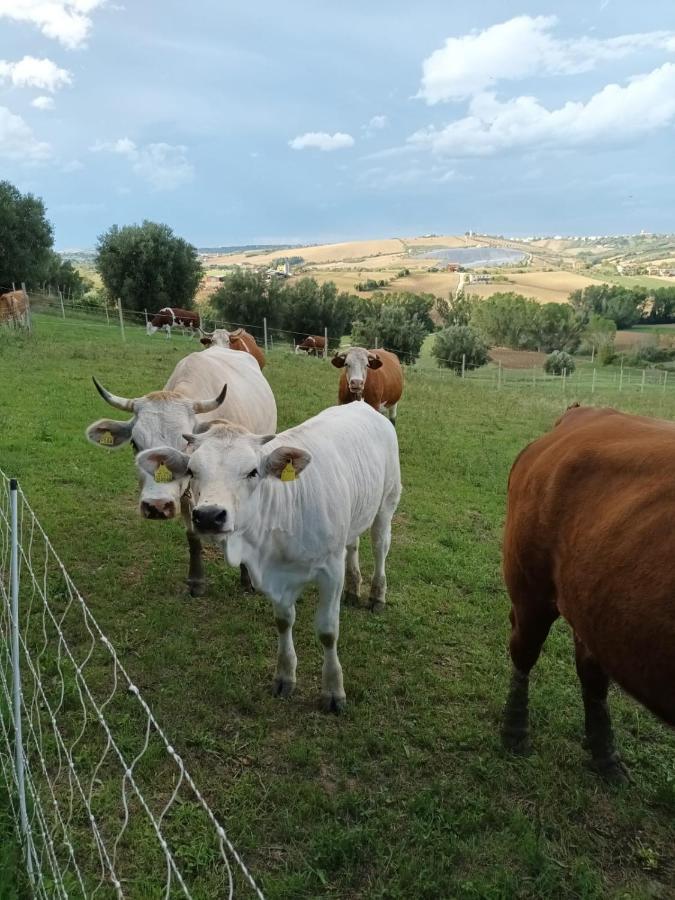Casa Di Campagna Villa De Luca Bellante Luaran gambar