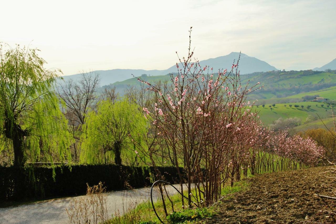 Casa Di Campagna Villa De Luca Bellante Luaran gambar